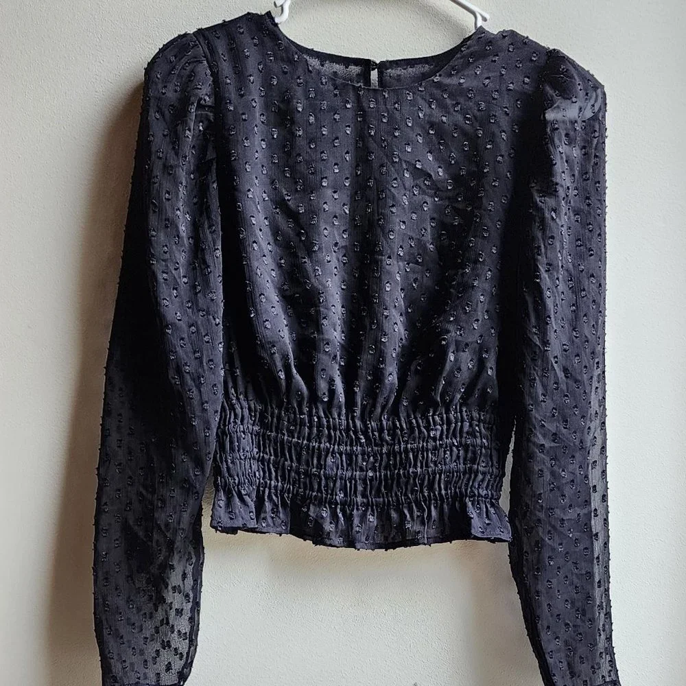 Express Sheer Black Cropped Blouse Size XS
